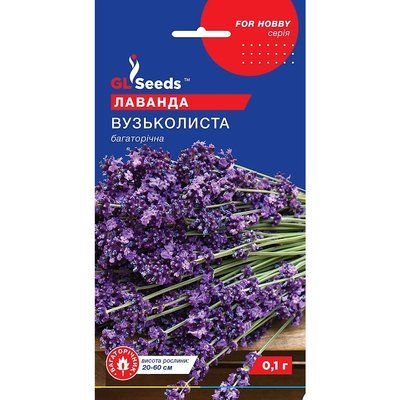 Насіння Прянощі Лаванда Вузьколиста багаторічна GL Seeds 0.1г (For Hobby843) 4823096903859 фото