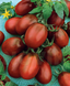 Насіння Томат Де-барао чорний GL Seeds 0.1г (For Hobby2281) 4823096915234 фото 2
