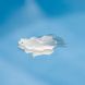Косметичний засіб R+Co Control Flexible Paste, 65 мл КОСМ02972 фото 3
