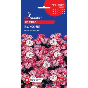 Семена Иберис Божоле GL Seeds 0.5г (For Hobby1003) 4823096908380 фото