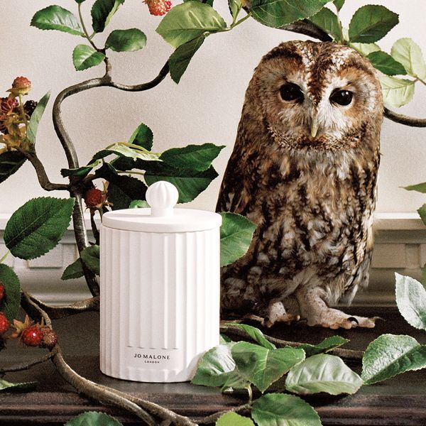 Косметичний засіб Jo Malone London Wild Berry and Bramble Townhouse Candle, 313 мл КОСМ05223 фото