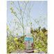 Косметичний засіб R+Co Dreamhouse Wave Spray, 89 мл КОСМ02973 фото 4