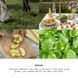 Косметичний засіб The New Savant Heatwave Candle, 207 мл КОСМ04124 фото 2