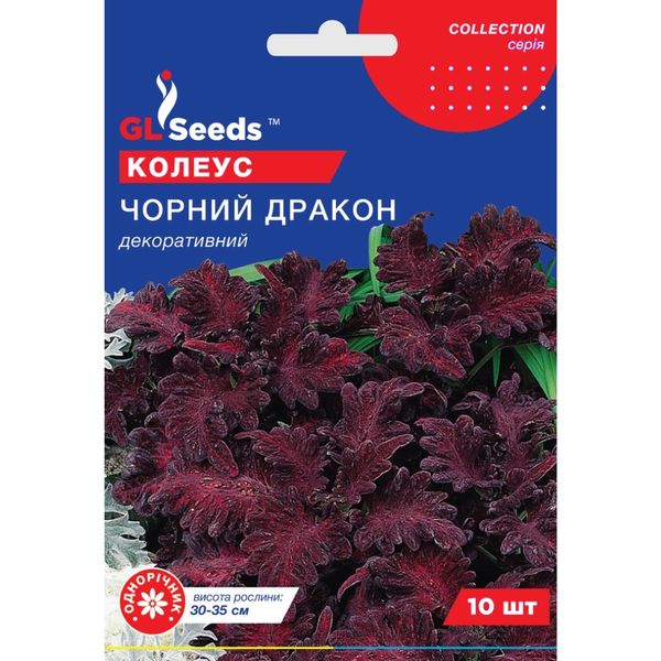 Насіння Колеус Чорний дракон GL Seeds 10шт (collection1241) 4823096912448 фото