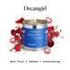 Косметичний засіб The New Savant Dreamgirl Candle, 207 мл КОСМ04125 фото 5