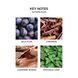 Косметичний засіб Nest Autumn Plum Candle, 240 мл КОСМ03975 фото 4
