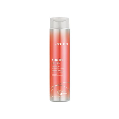 Шампунь для волосся Joico Youth Lock, 299 мл BS-074469523981 фото