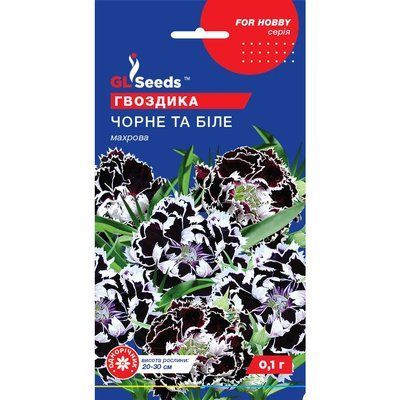 Насіння Гвоздика махрова Чорне i бiле GL Seeds 0.1г (For Hobby970) 4823096908069 фото