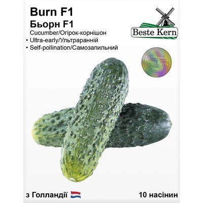 Насіння Огірок партенокарпік Бьорн F1 Beste Kern 10шт (For Hobby2565) For Hobby2565 фото