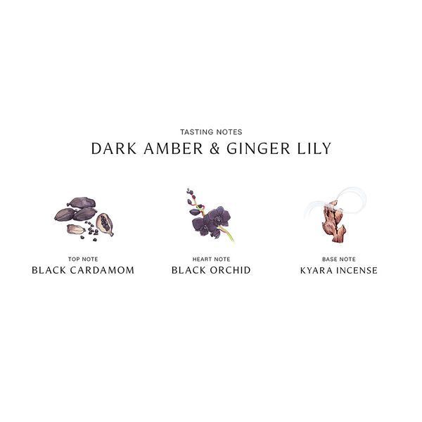 Косметичний засіб Jo Malone London Dark Amber and Ginger Lily Home Candle, 210 мл КОСМ04076 фото
