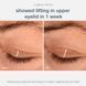 Косметичний засіб Dermalogica Phyto Nature Lifting Eye Cream, 15 мл КОСМ00976 фото 3