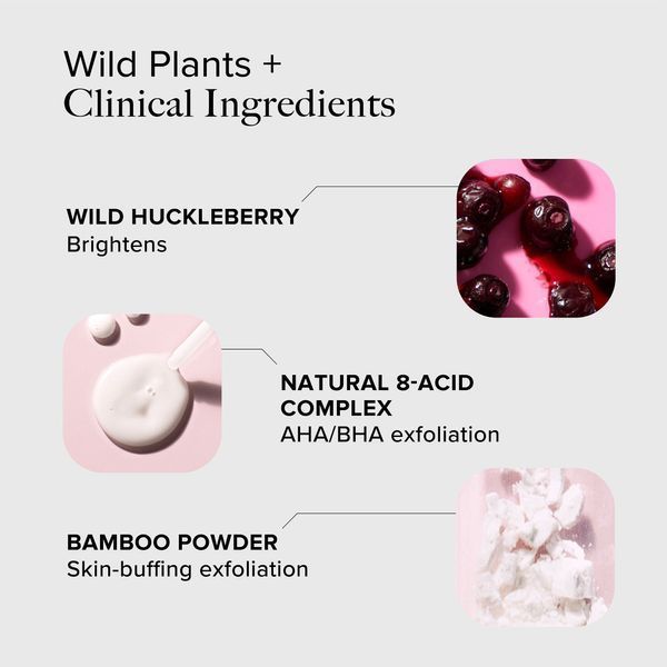 Косметичний засіб Alpyn Beauty Wild Huckleberry 8-Acid Polishing Peel, 50 мл КОСМ01728 фото