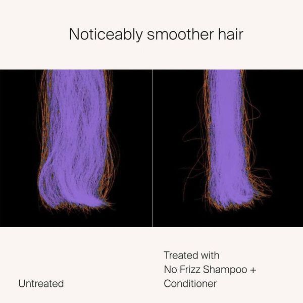 Шампунь Living Proof No Frizz Shampoo 1000 мл 2462242967 фото