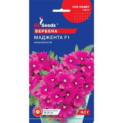Насіння Вербена Маджента GL Seeds 0.1г (For Hobby1999) 4823096913698 фото
