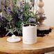 Косметичний засіб Jo Malone London Lilac Lavender and Lovage Townhouse Candle, 313 мл КОСМ04029 фото 4