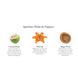 Косметичний засіб Lafco Jungle Bloom Pura Smart Home Fragrance Refill, 10 мл КОСМ04194 фото 5