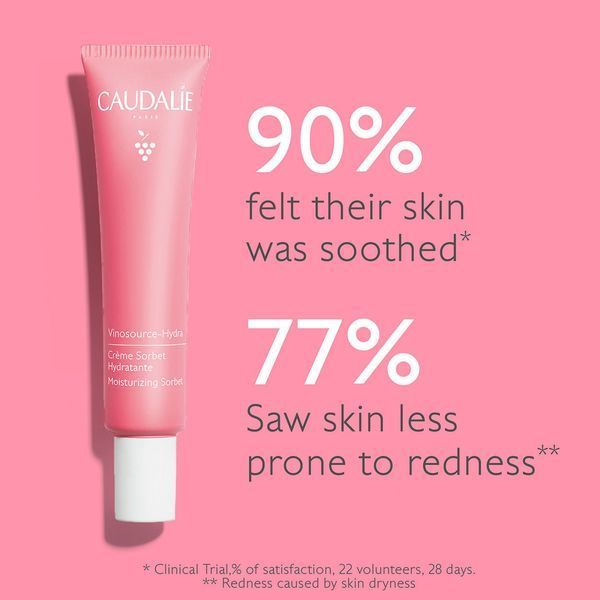 Косметичний засіб Caudalie Vinosource-Hydra Moisturizing Sorbet, 40 мл КОСМ01330 фото