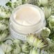 Косметичний засіб Alpyn Beauty Line-Filling Eye Cream with Bakuchiol and Caffeine, 15 мл КОСМ02130 фото 2