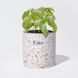 Косметичний засіб Esker Terrazzo Plantable Candle, 370 мл КОСМ06130 фото 3