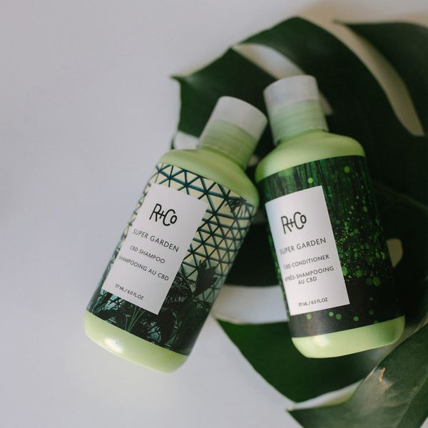 Косметичний засіб R+Co SuperGarden CBD Conditioner, 177 мл КОСМ02781 фото