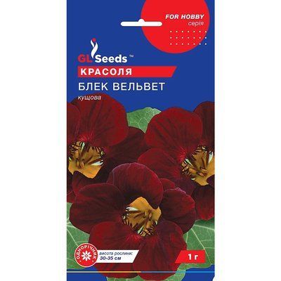 Насіння Красоля Блек вельвет GL Seeds 1г (For Hobby1059) 4823096908953 фото
