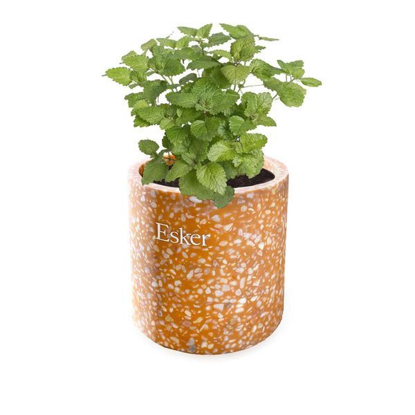 Косметичний засіб Esker Terracotta Plantable Candle, 370 мл КОСМ04533 фото