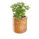 Косметичний засіб Esker Terracotta Plantable Candle, 370 мл КОСМ04533 фото 5