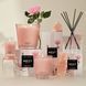Косметичний засіб Nest Himalayan Salt & Rosewater Reed Diffuser, 174 мл КОСМ05133 фото 5