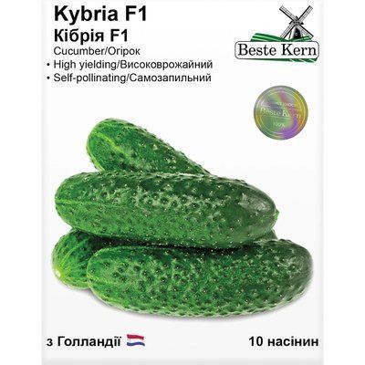 Насіння Огірок партенокарпік Кібрія F1 Beste Kern 10шт (For Hobby2527) For Hobby2527 фото