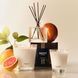 Косметичний засіб Nest Grapefruit Reed Diffuser, 174 мл КОСМ04234 фото 5
