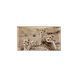 Косметичний засіб Chantecaille Cheetah Eye Trio (Limited Edition), 2 мл КОСМ00136 фото 3