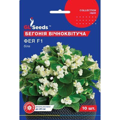 Насіння Бегонія Фея біла GL Seeds 10шт (collection2468) 4823096916774 фото