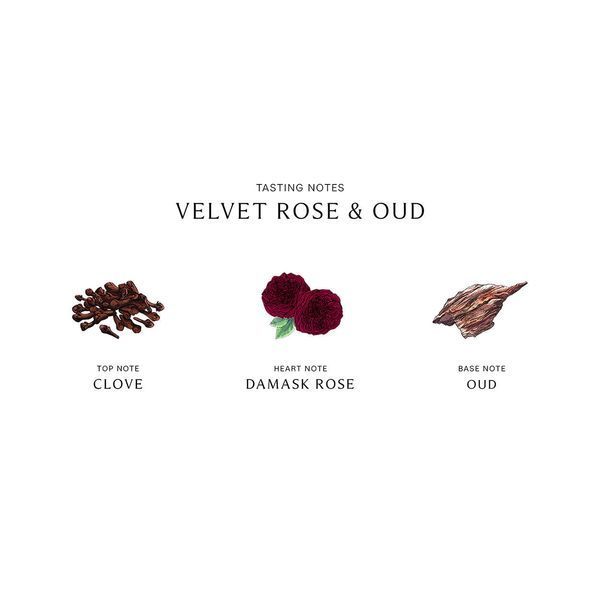 Косметичний засіб Jo Malone London Velvet Rose and Oud Diffuser, 166 мл КОСМ04188 фото