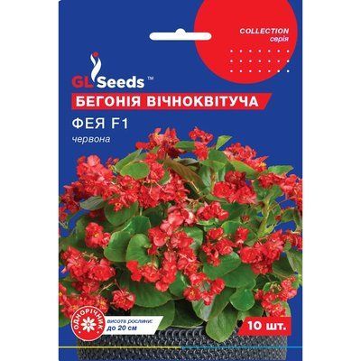 Насіння Бегонія Фея червона GL Seeds 10шт (collection2467) 48230966916767 фото