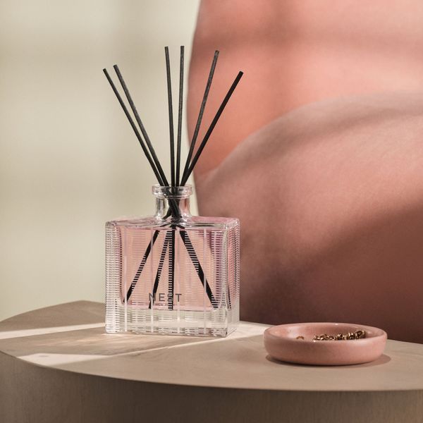 Косметичний засіб Nest Himalayan Salt & Rosewater Reed Diffuser, 174 мл КОСМ00095 фото