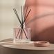 Косметичний засіб Nest Himalayan Salt & Rosewater Reed Diffuser, 174 мл КОСМ00095 фото 4