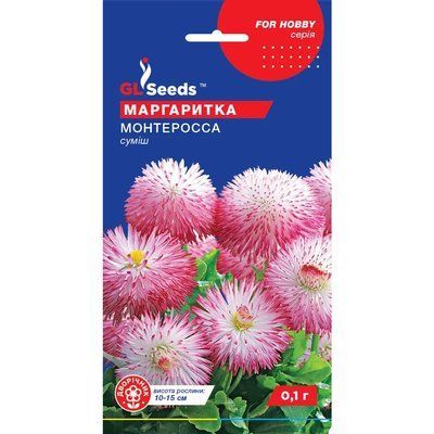 Насіння Маргаритка Монте Росса GL Seeds 0.1г (For Hobby1051) 4823096908854 фото