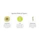 Косметичний засіб Lafco Pura Refills Paloma Melon, 10 мл КОСМ04190 фото 3
