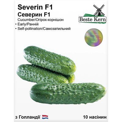 Насіння Огірок партенокарпік Северин F1 Beste Kern 10шт (For Hobby2566) For Hobby2566 фото