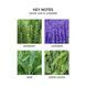 Косметичний засіб Nest Cedar Leaf and Lavender Reed Diffuser, 174 мл КОСМ04148 фото 5