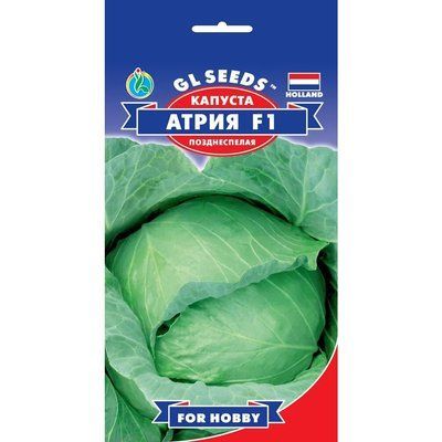 Насіння Капуста білокачанна Атрія F1 Голандія GL Seeds 50шт (For Hobby367) 4823096901237 фото
